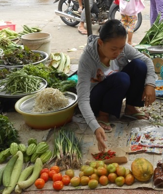 Nữ sinh bán rau với ước mơ giảng đường sắp vụt tắt - 2 Trước gia cảnh khó khăn, Hương định xin bảo lưu kết quả đi làm công nhân may, chờ năm sau học.