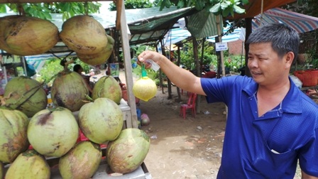 Anh Vinh Hoà vừa bán dừa trái và cả dừa sáp giống