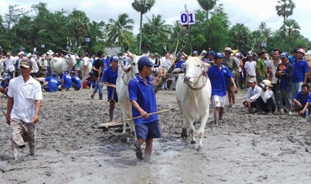 Hàng chục ngàn  người dân đến với lễ hội bẩn nhất Việt Nam
