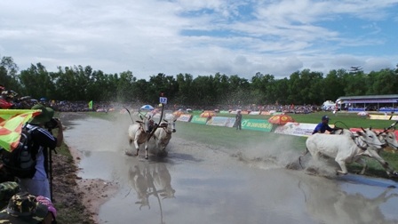 Tranh tài quyết liệt