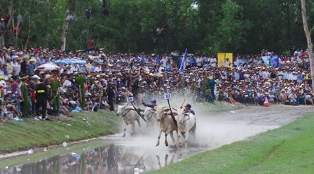 Ngang tài ngang sức