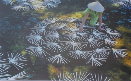 Hoa giải nhiệt (Huế) - Tác giả Hoàng Hữu Trí