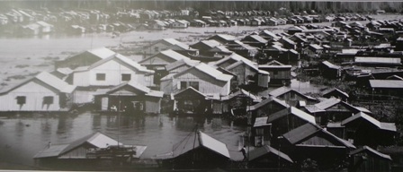 Làng bè ở Châu Đốc - Tác giả Tô Hoàng Vũ