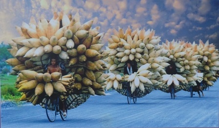 Xe Hoa làng nghề ở Hưng Yên - Tác giả Nguyễn Hữu Thanh