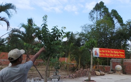 Hàng ngàn người đổ xô đi xem Phật hiện trên cây sao