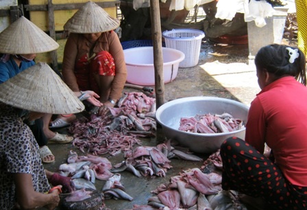 Cá tươi được làm sạch, xẻ đôi, ướp gia vị