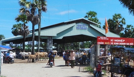 Chợ bò độc nhất miền Tây nhộn nhịp ngày cuối năm