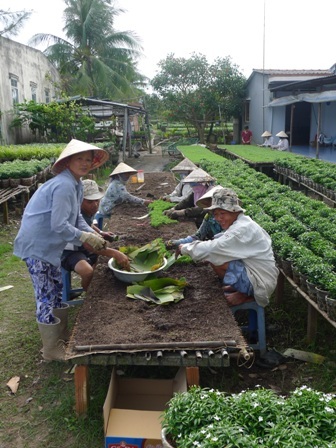 Tất bật làm việc