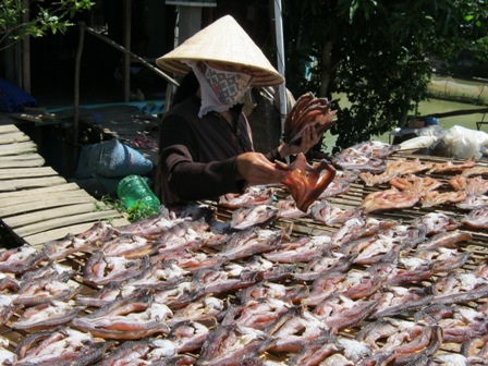 và mang ra phới 2 -3 ngày như thế này