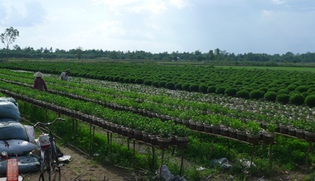 Tất bật làm việc