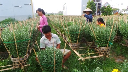 Tất bật cho mùa Tết