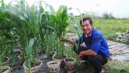 Với thanh long ruột đỏ như thế này được các nhà vườn bán từ 400.000 - 1.500.000 đồng/ chậu