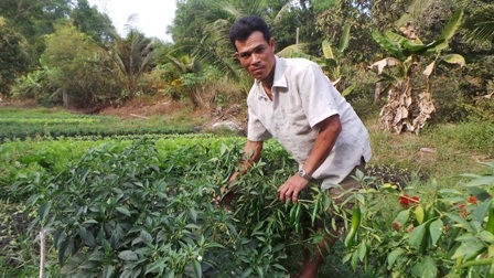 Khoảng 1 tháng nửa vợ chồng anh Bé xuất chuồng 20 con chó xoáy Phú Quốc,...thu trên 120 triệu đồng