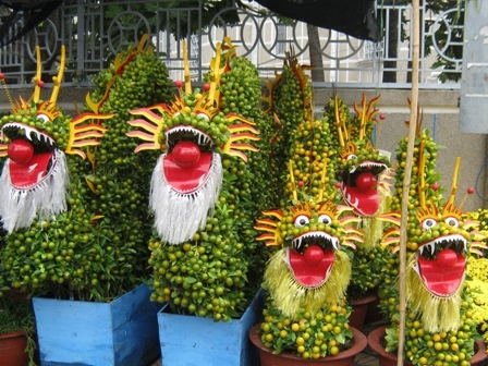 Riêng kiểng tắc (quất) tuỳ thuộc vào dáng, hình,... có giá 2.000.000 - 4.000.000triệu đồng/chậu.