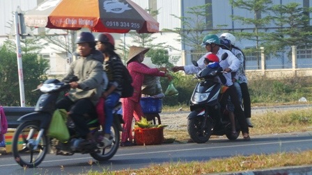 Vội vàng mua vài chục bắp làm quà cho người thân