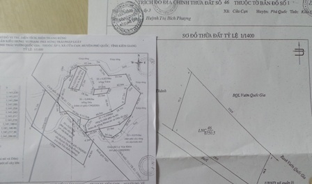 Canh tác trên đất được cấp sổ đỏ bị phạt tù vì tôi...phá rừng