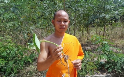 Gặp hai “bác sĩ” cứu người,… không cần dao, kéo