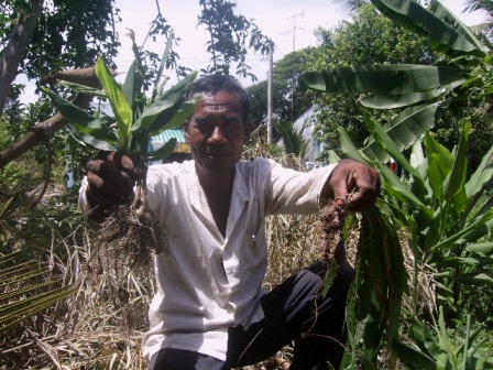 Gặp hai “bác sĩ” cứu người,… không cần dao, kéo