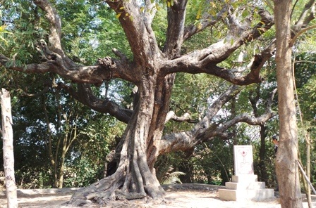 Theo quan sát của PV