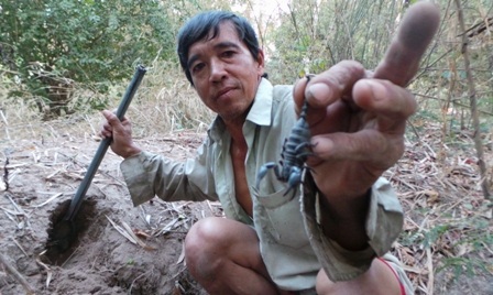 Chỉ cần cái giá nhỏ, anh Cương dễ dàng thi bắt vua bò cạp như hái rau trong vườn