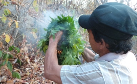 Bắt đầu đốt đuốc để tiếp cận tổ ong