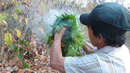 Do nắng nóng cứ tăng dần, nhiều cây rừng ở cái núi Tượng, đồi Tức Dụp,...bị khô héo