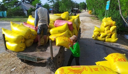 Bà con nông dân năm nay vui mừng vì lúa trúng mùa, bán được giá cao