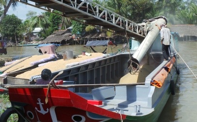 Mỗi khi bước vào vụ thu hoạch, các lò sấy lúa ở ĐBSCL phải làm việc luôn cả ban đêm