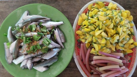 Những con cò không buồn di chuyển dù du khách có thể chạm tay vào