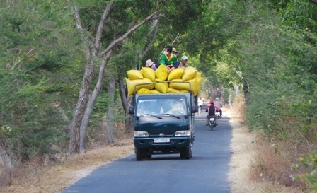 Một xe tự chế đa chức năng, chở người và lúa