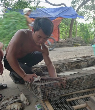 Hầu hết mọi người ở chợ này đều tay không bắt chuột