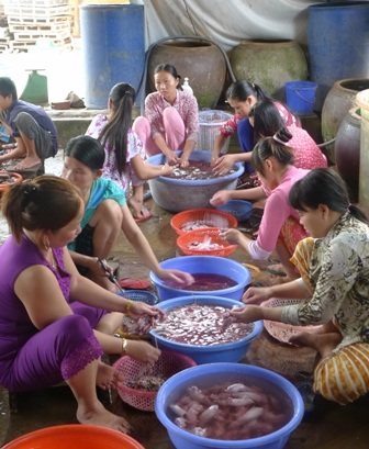 Dây chuyền giết mổ đa phần là chị em phụ nữ, trẻ em và cả người già tham gia