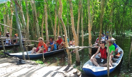 Bức tranh thuỷ mặc tự nhiên của rừng tràm Trà Sư