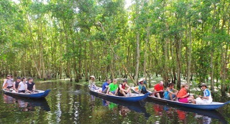 Bắt đầu khám phá rừng tràm bằng xuồng ba lá