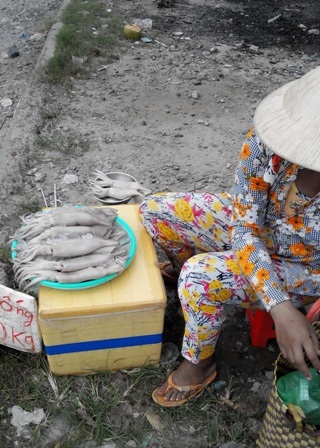 Mực “siêu rẻ” bắt đầu “tản cư” về nông thôn - 1 Mực “siêu rẻ” bắt đầu “tản cư” về nông thôn