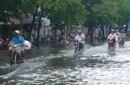 Do trời mưa đúng giờ đến sở làm nên việc đi lại của cán bộ công nhân viên gặp không ít khó khăn.