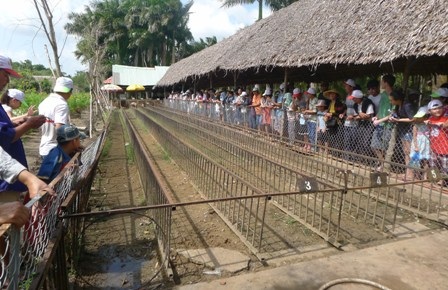Về Cần Thơ xem trò đua heo, đua chó độc nhất miền Tây - 1 Sân đua của các chú ỉn