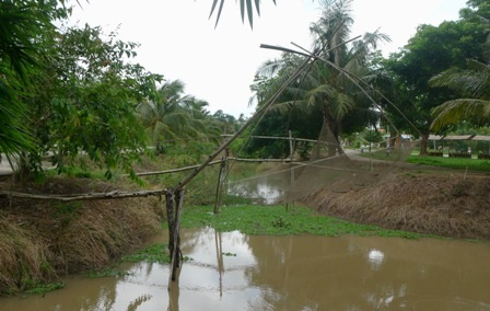 Về đất Sen hồng, ghé thăm Khu di tích Nguyễn Sinh Sắc - 4 Mô hình nhà sản, ao cá của Bác Hồ