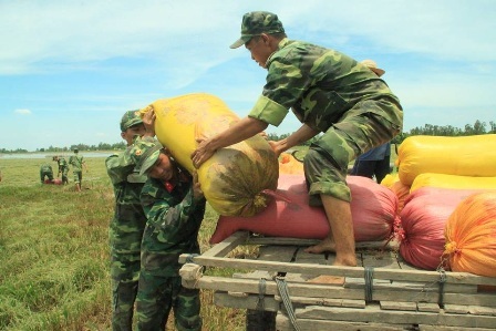 Vỡ đê đầu mùa lũ, trên 200ha lúa bị nước lũ tấn công - 2 Những diện tích ruộng bị ngập sâu, người dân phải nhờ đến máy trâu kéo lúa hột về nhà