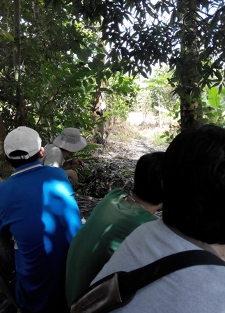 Bẫy chim sẻ kiếm bạc triệu ở miền Tây: Người mưu sinh, chim chết thảm - 8 Và vào chỗ kín chờ chim mắc câu