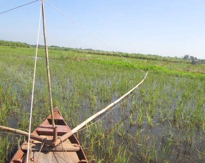 Hai luồng côn được xếp theo hình chữ V