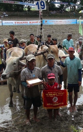 60 đôi bò “căng sức” tranh tài dịp lễ Sen Dolta - 8 Tại vòng loại năm nay, giải nhất được trao cho đôi bò số 19 của ông