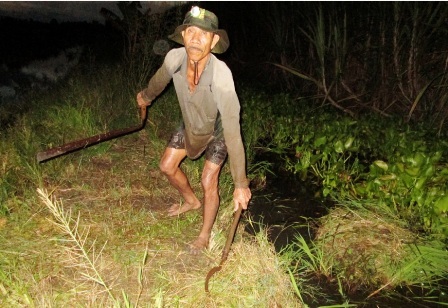 Kiếm bạc triệu mỗi ngày nhờ nghề xúc lươn đồng mùa lũ - 3 Công việc phát cỏ ụ lươn, có thể làm từ buổi chiều hôm qua