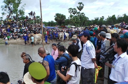 60 đôi bò “căng sức” tranh tài dịp lễ Sen Dolta - 7 Thu hút hàng trăm phóng viên ảnh đến từ khắp nơi đến tác nghiệp