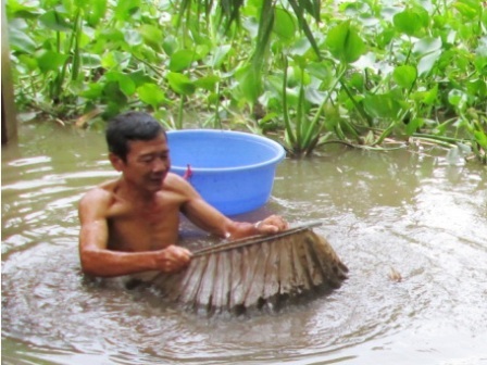 Nghề xúc trùn chỉ thu nhập hơn 20 triệu đồng/tháng - 2 Trùn chỉ sống nhiều ở những ao đọng, thối