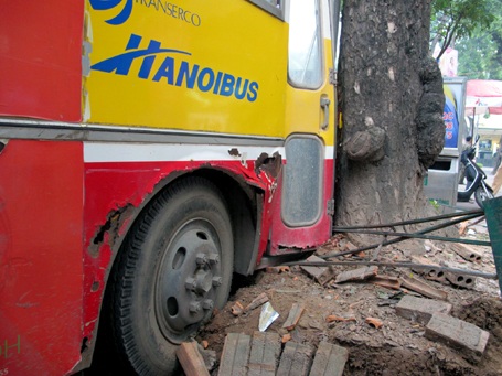 Hà Nội: Xe buýt “phanh” bằng gốc cây cổ thụ - 2
