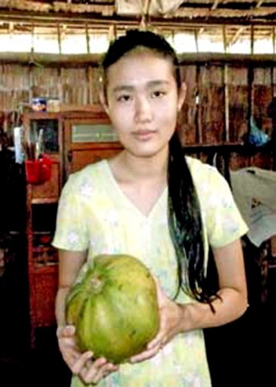 Trái đu đủ hình trái bí rợ - 1 Trái đu đủ hình trái bí rợ - 1