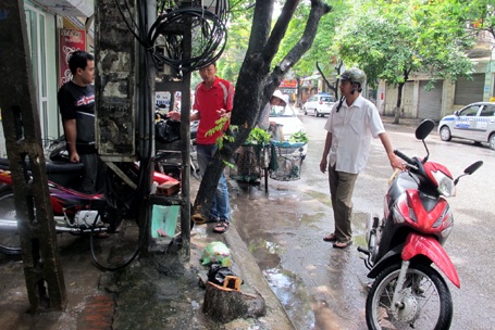 “Sưa tặc” lộng hành trong đêm mưa, 3 cây sưa đỏ biến mất - 2 “Sưa tặc” lộng hành trong đêm mưa, 3 cây sưa đỏ biến mất - 2