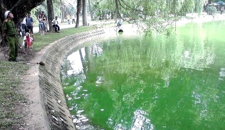 Phát hiện xác chết nổi trên mặt hồ trong Công viên Bách Thảo - 1