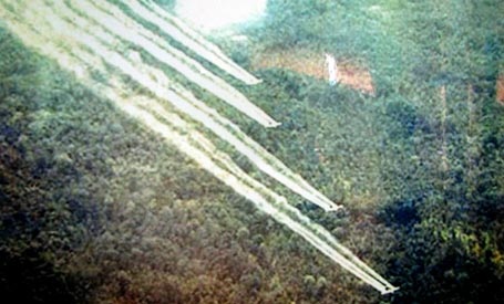 50 năm thảm họa da cam Việt Nam - 1 50 năm thảm họa da cam Việt Nam - 1